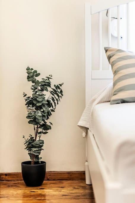 Апартаменты Diana's Centrally Located Apt@ Old Town Of Corfu Corfu (city)